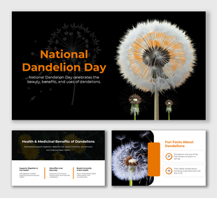 National Dandelion Day slide with vibrant dandelion, health benefits, fun facts, medicinal uses, and modern design.