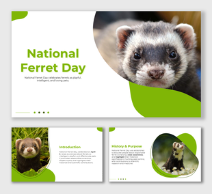 National Ferret Day slide with cute ferrets, green theme, pet care tips, historical insights, and awareness content.