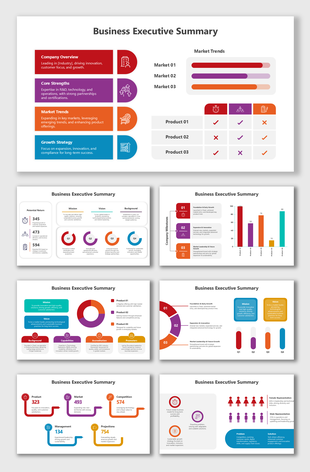 Covers overview, core strengths, market trends, growth strategy, and milestones for business success.
