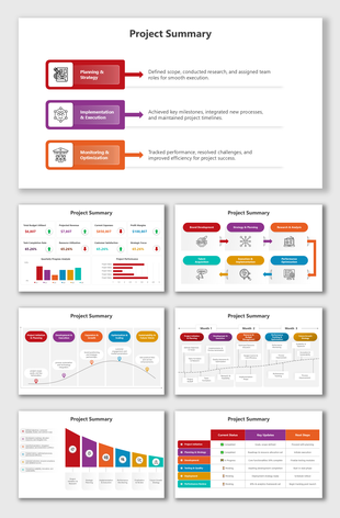 Defined scope, executed tasks, tracked progress, analyzed metrics, and planned future project strategies.