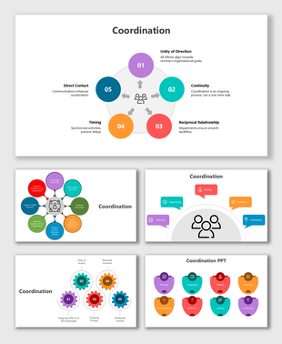 Colorful coordination graphics with icons, circular flowcharts, gears, and steps showing teamwork and workflow unity.