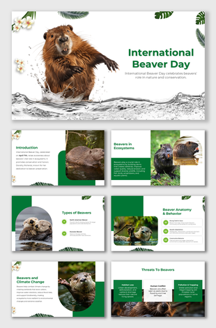 Beavers build wetlands, improve water quality, reduce floods, fight climate change, and face habitat loss.