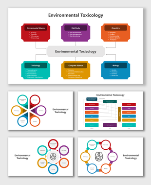 Environmenal Toxicology slides with petal diagrams, flowcharts, science icons, and colorful placeholders for disciplines.