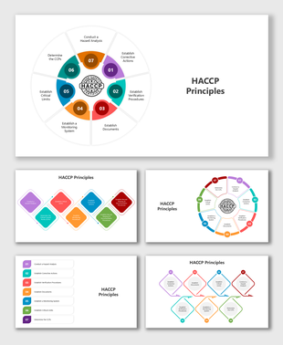 HACCP Principles with 7 steps in circles, tiles, and lists; bold text, icons, and vibrant color shapes.