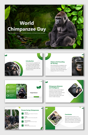 Celebrates chimpanzees, their intelligence, behavior, conservation needs, and threats they face globally.
