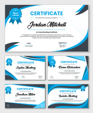 LLC Good Standing Certificate with blue curved shapes, badge seal, name text box, date and signature areas.