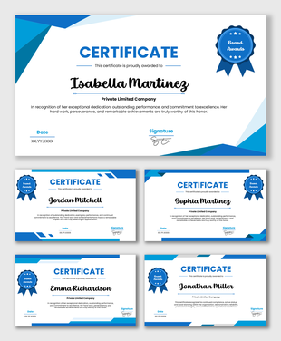 Certificate Of Incorporation Of A Private Limited Company with blue layout, award badge, name fields.