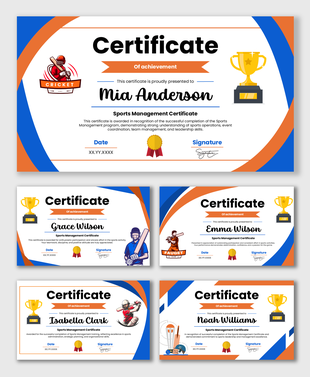 Cricket Tournament Certificate Template with batsman icon, trophy, blue orange curves, name date fields.
