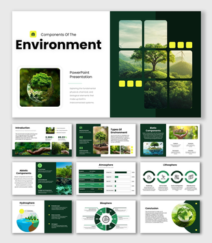 Components Of The Environment slides, green theme, nature images, grid shapes, icons, and clean structured text boxes.