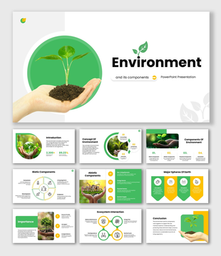Environment And Its Components PPT, green theme, plant in hand, eco visuals, shapes, icons, and clean structured text boxes.