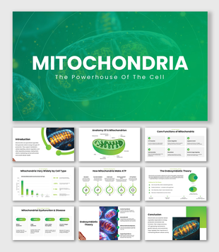 Mitochondria with green themes, cell diagrams, ATP processes, charts, icons, shapes, and text holders.