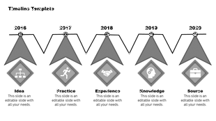Project plan timeline slide with five stages from 2016 to 2020 from idea to source with icons and placeholder text.
