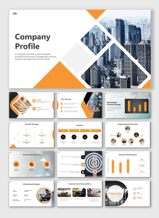Company Profile slides showcasing an overview including mission, marketing strategies, and financial performance.