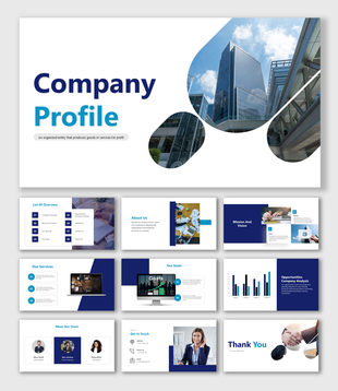 Company profile slides with modern blue-themed designs, clean layouts, and structured placeholders for concise content.