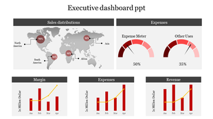 Executive dashboard with a world map showing sales distribution and expense meters.