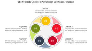 Circular life cycle slide with five colorful segments, each containing a numbered step with captions.