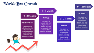 Stepwise growth process in a 12-month timeline with arrows and labeled stages from developement to growth.