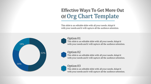 Org chart slide featuring a pie chart showing data distribution in three categories with percentage labels.