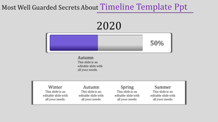 2020 timeline slide with a purple progress bar at half capacity and a lower section divided into four seasonal blocks.