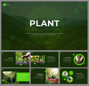 Slide deck focused on plants, featuring images of seedlings, environmental benefits, and human uses in a green color scheme.