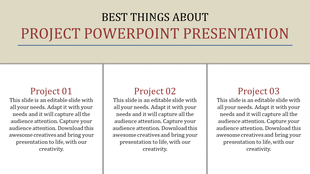 A PowerPoint slide with three sections labeled Project 01 to 03, featuring placeholder descriptions.