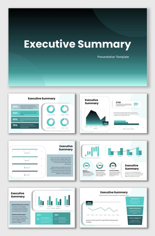 The executive summary presentation featuring performance dashboards, graphs, and financial insight reports.