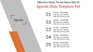 Agenda PPT slide with time based sections from morning to evening with placeholder text.
