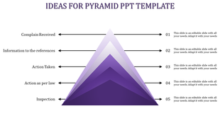Purple pyramid PowerPoint template showing stages from complaints received to inspection with arrows pointing to each stage.