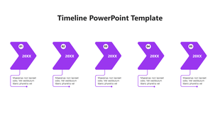Horizontal timeline with five gray chevron arrows labeled 20XX and numbered 01 to 05, connected to description boxes.