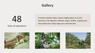 Gallery slide featuring a label describing years of experience with images of farming activities and a beige text box.