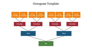 A genogram with orange, red, blue, and green boxes showing relationships between four family generations.