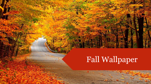 Road through a forest with fall foliage and a red text box on the right.