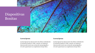 Diapositivas bonitas slide featuring a vibrant background of blue and green hues with space for text in two sections below.