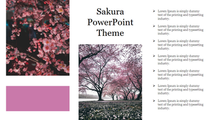 Sakura themed slide with cherry blossom images, text bullets on the right, and a pink color block for accent.