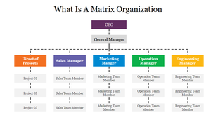 Hierarchy chart depicting a matrix organization with multiple managers overseeing different project teams.