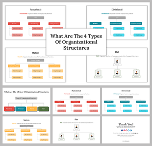 A collection of slides displaying four types of organizational structures with colorful icons and text boxes.