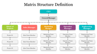 Organizational chart depicting a matrix structure with roles like CEO, General Manager, and various department managers.