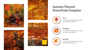 Autumn slide with a collage of fall landscapes and three circular fall-themed icons labeled tree, pumpkin, and dry leaf.