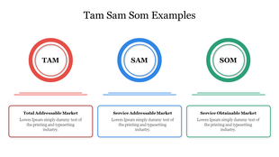 Innovative Tam Sam Som Examples Presentation PowerPoint