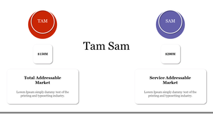 TAM and SAM comparison with colored circles, dollar values, and description boxes against a white background.