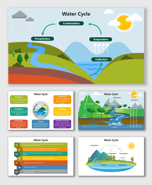 Colorful Water Cycle diagram showing evaporation, condensation, precipitation, collection, and transpiration.