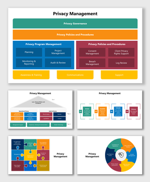 Privacy Management slides with governance, data policies, audits, consent, compliance charts, shapes, and colors.