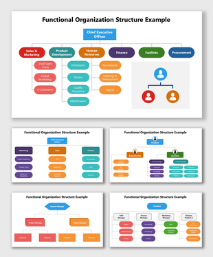 Functional Organization Structure Example with colorful team hierarchy, CEO top box, and linked divisions.