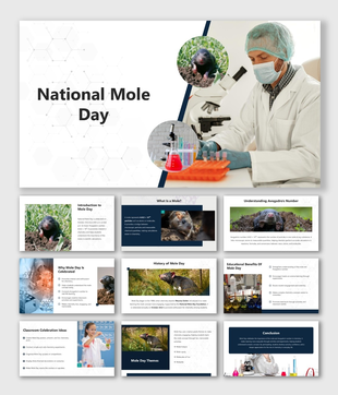 National Mole Day slides with mole photos, lab scientist, test tubes, and text boxes on meaning, history, and activities.