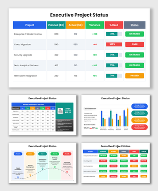 Executive Project Status with colorful KPI tables, progress bars, budget metrics, and project tracking layouts.