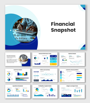 Financial Snapshot with blue and teal theme, rounded shapes, finance visuals, pie charts, bar graphs and KPI metrics.