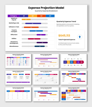 Expense Projection Model with purple, orange and blue charts, tables, timelines, bars and quarterly expense data.