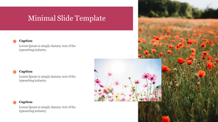 Minimal PowerPoint slide featuring a scenic view of flowers with three caption sections on the left.