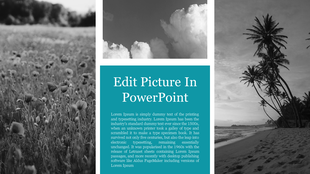 Black-and-white images of a meadow, sky, and beach surround a teal text section with title and placeholder text areas.