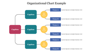 A hierarchical chart with teal, red, and blue boxes connected by black lines, each representing a team structure.